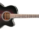 ibanez_ael20e.jpg