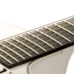 buckehead-features-frets