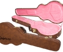 epi-case