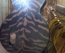 gibson-dusk-tiger-back