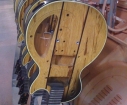 gibson-dusk-tiger-body