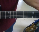 gibson-dusk-tiger-fret-board