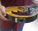 gibson-dusk-tiger-sidetopview