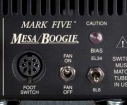 m5_bias.jpg