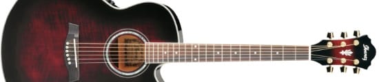 Ibanez AEL20 Acoustic Electric Guitar
