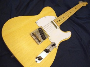 Guitars Going Green - Bamboocaster Guitar