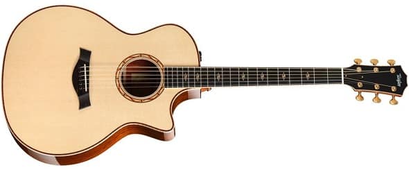 Taylor Cocobolo Series Taylor Acoustic guitars