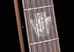 Charvel Desolation DS-1