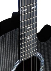 Rainsong graphite guitars sales