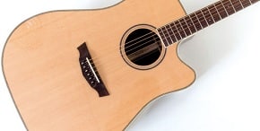 Parkwood PW-510 guitar